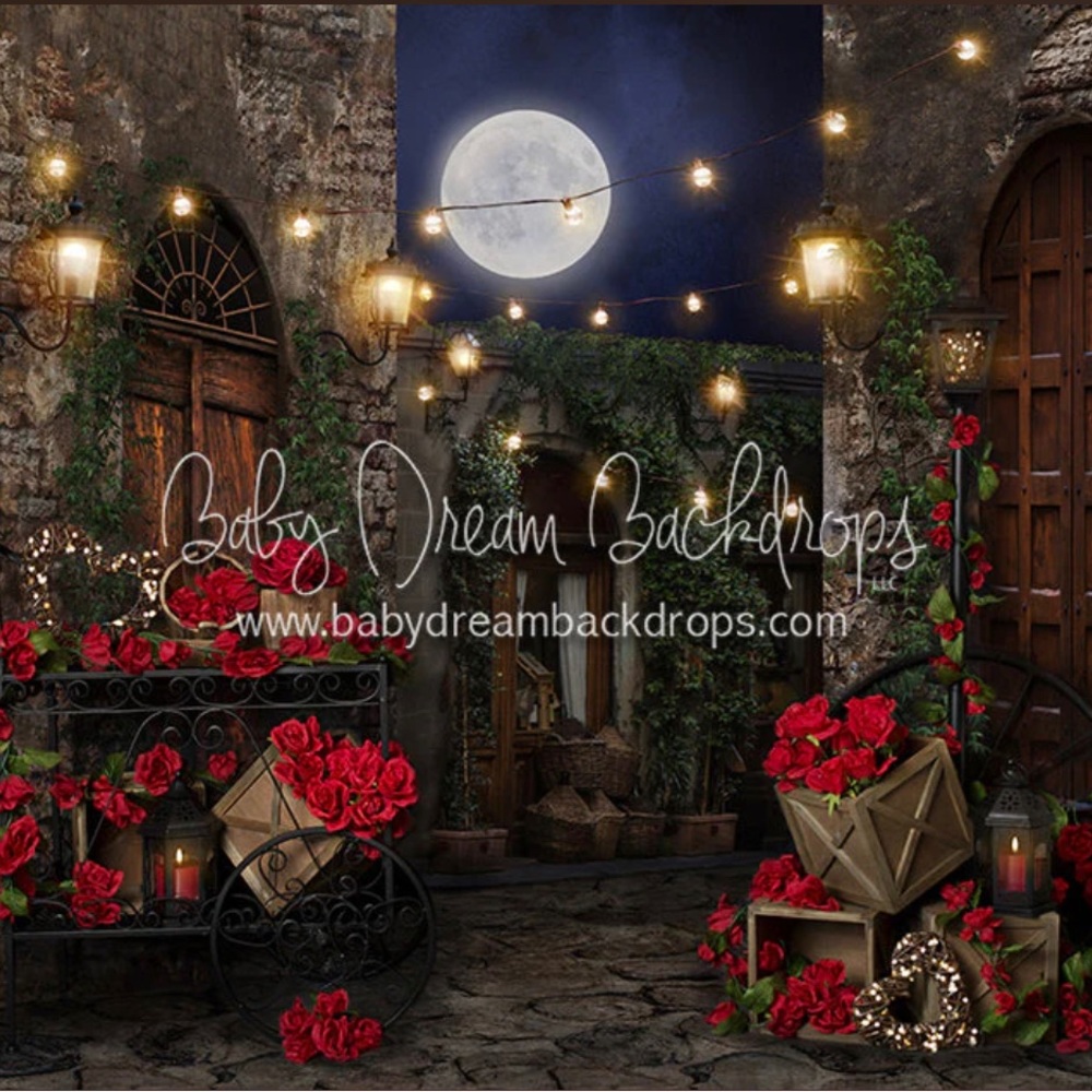 Photography Backdrop